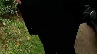 სტუდენტი, აღგზნებული, უკანალი და მკერდი