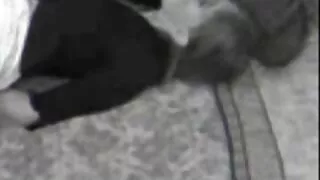 ლამაზი Busty ლედი ფული sucks და fucks